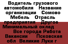 Водитель грузового автомобиля › Название организации ­ Сомово-Мебель › Отрасль предприятия ­ Другое › Минимальный оклад ­ 15 000 - Все города Работа » Вакансии   . Псковская обл.,Великие Луки г.